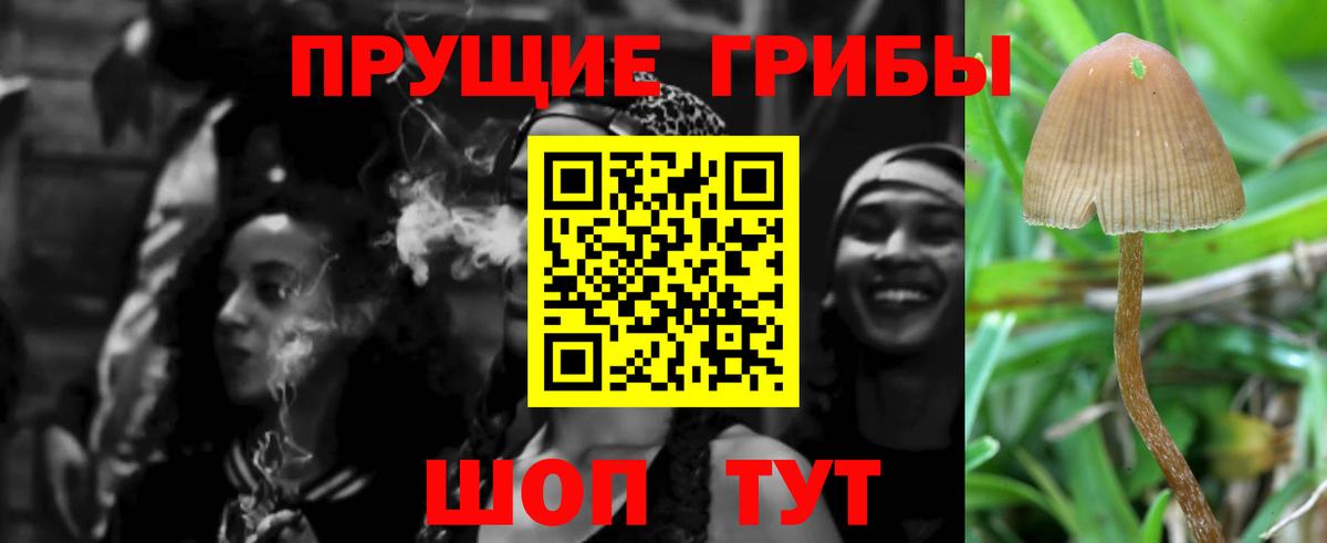 Россошь  Псилоцибиновые грибы мухоморы  Вход с VPN 